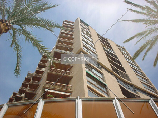 Photo 550-113-704