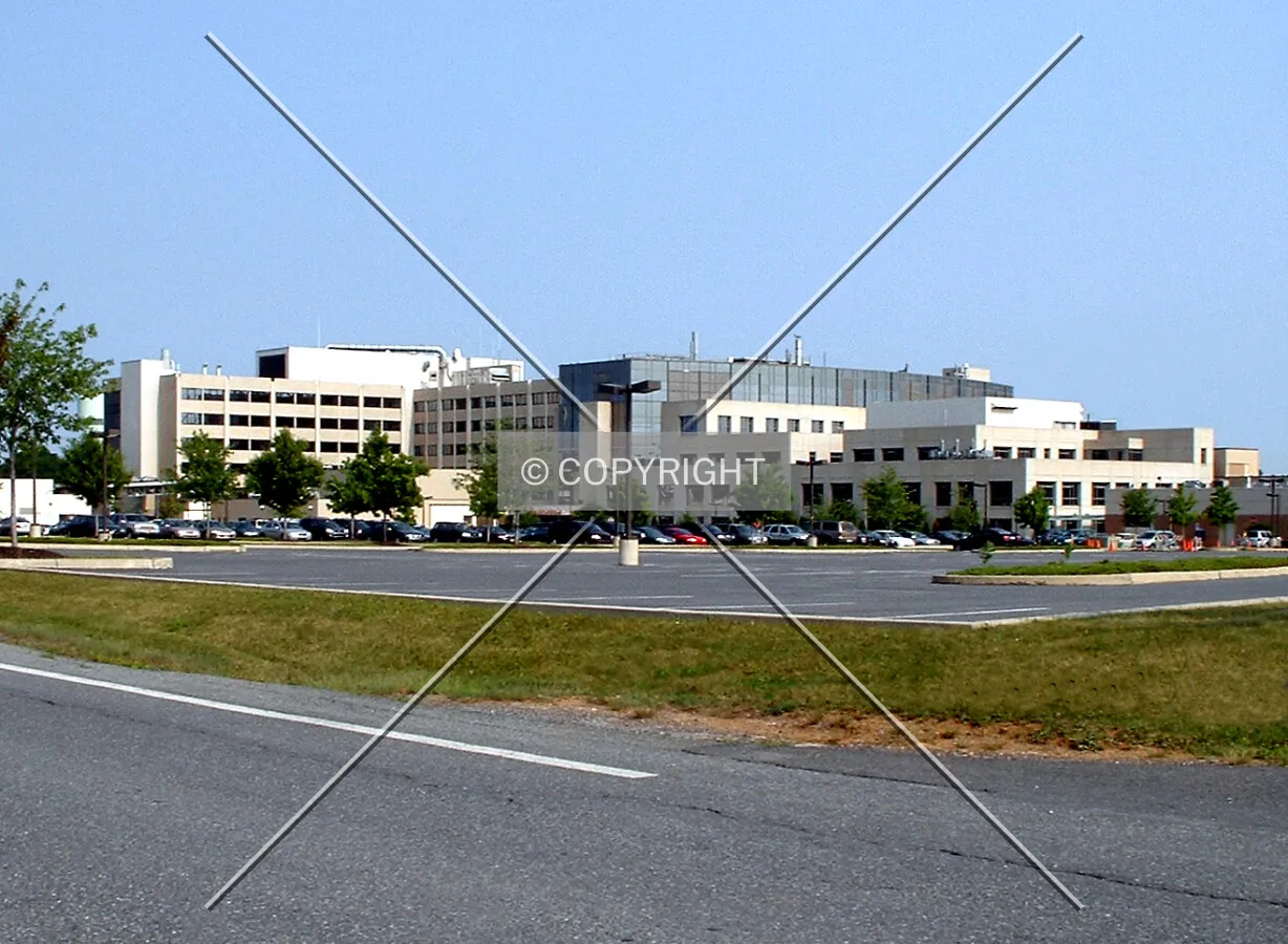 View from the southeast