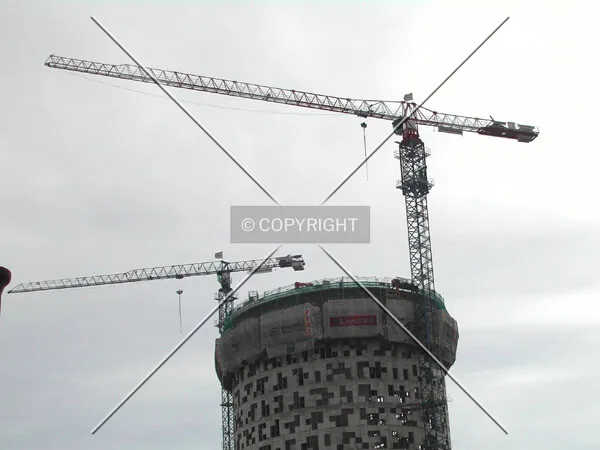 View of the cranes