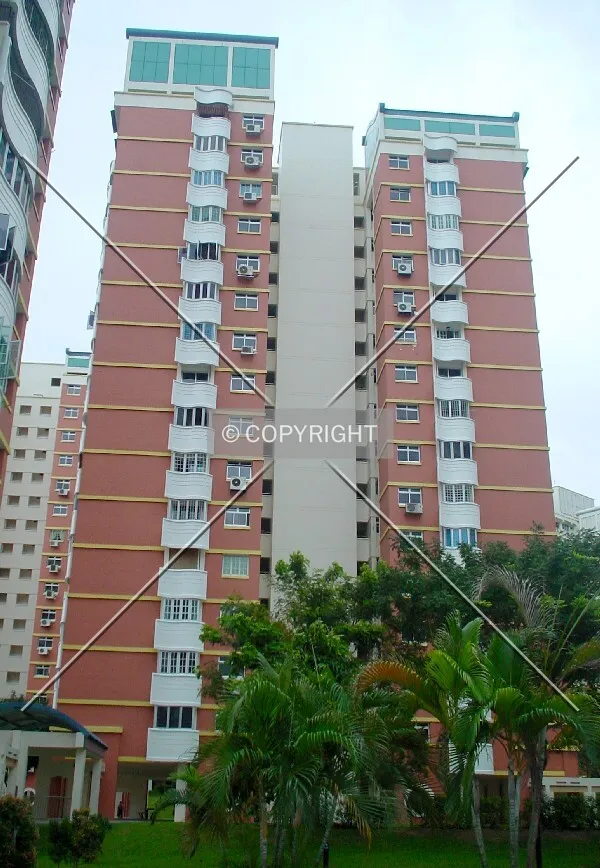 View from Block 781