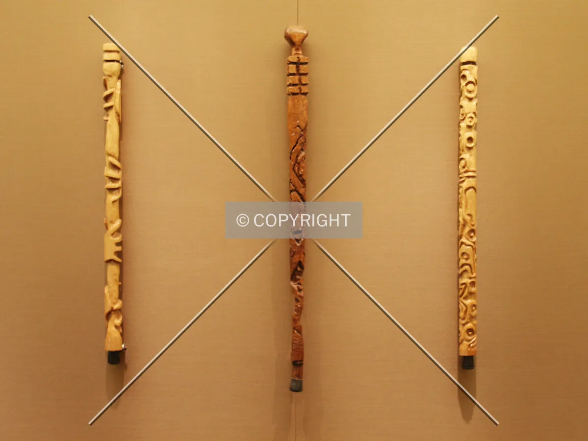 Walking sticks in the art collection from Gallery 37