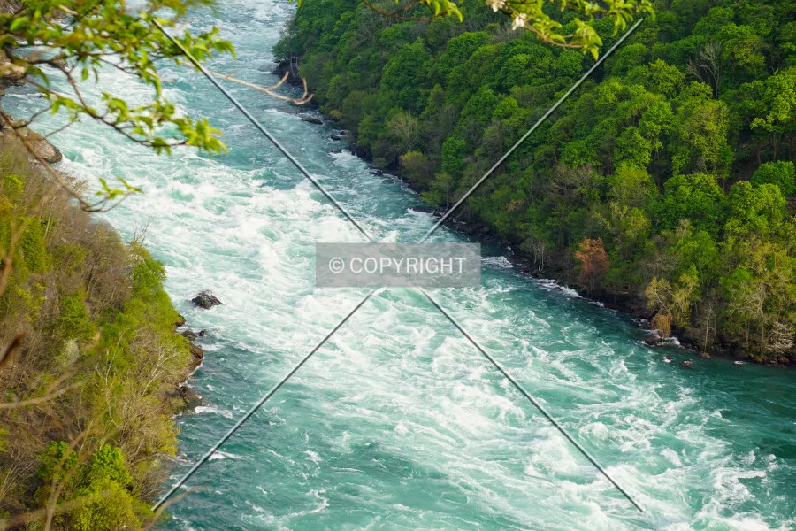 Photo 550-714-788