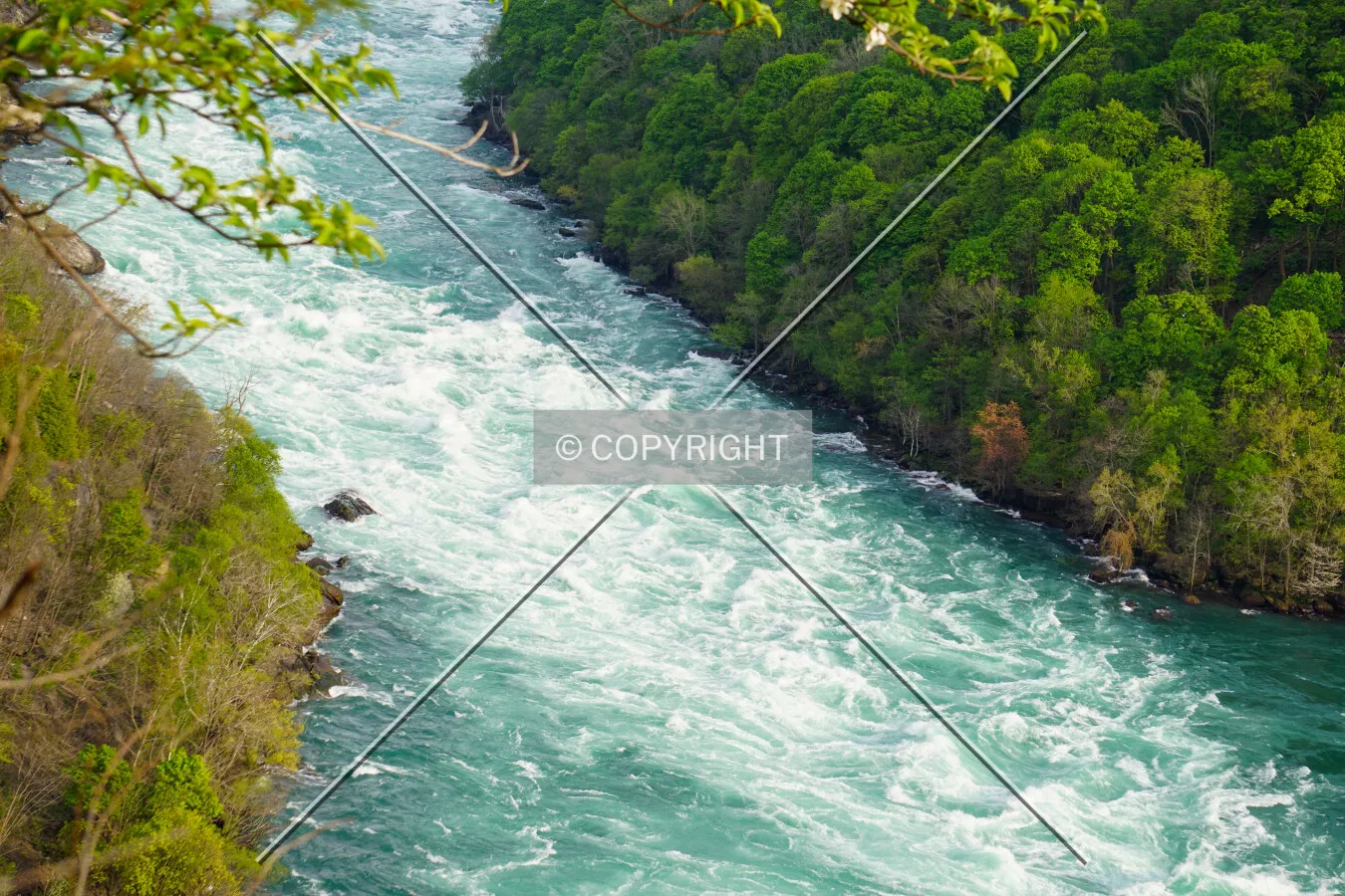 Looking out at the Niagara River; May 23, 2020