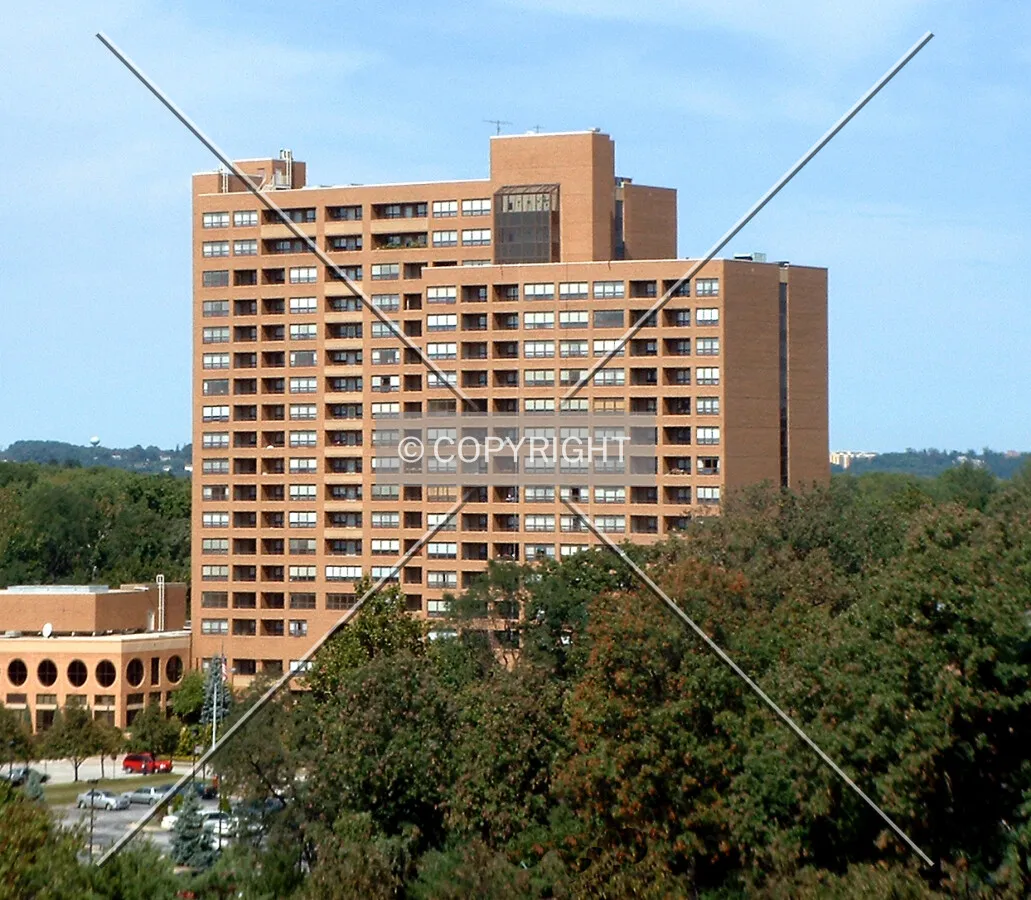View from the southeast
