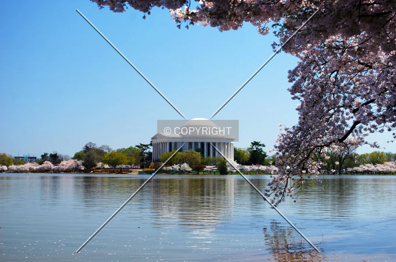 Viewed across the Tidal Basin