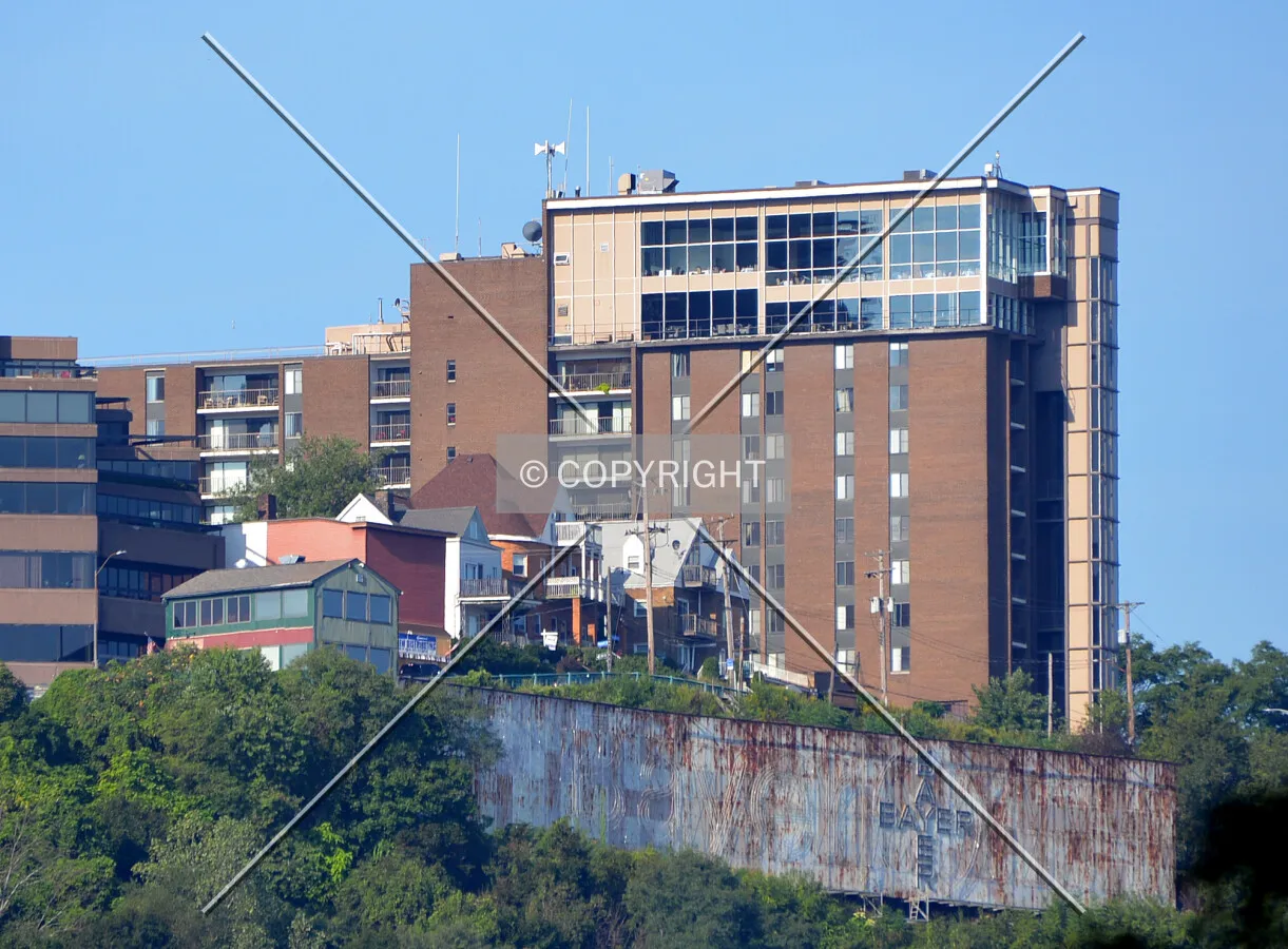 View from the east