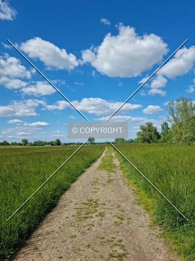 Photo 551-273-455