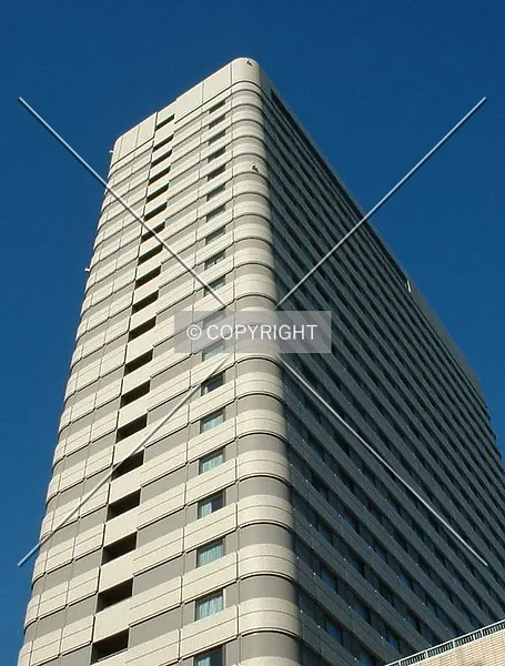 Photo 552-762-738