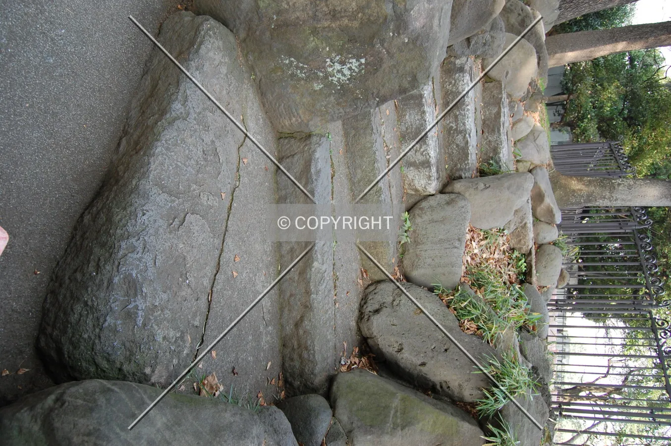 Photo 553-420-124