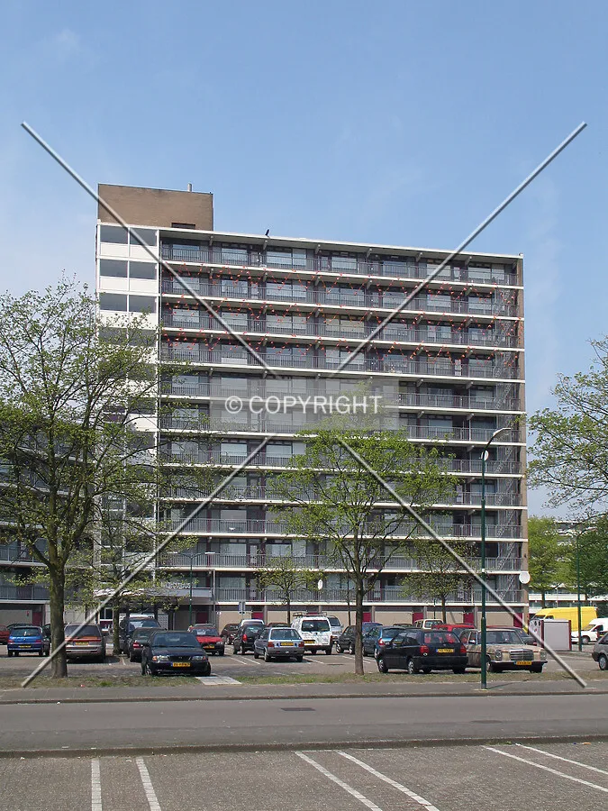 View from the east