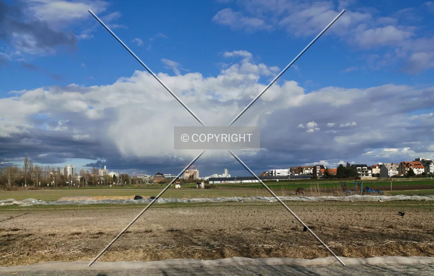 Fields in Frankfurt-Oberrad