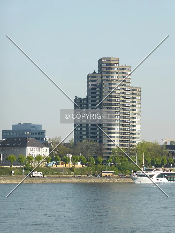 Photo 554-179-273