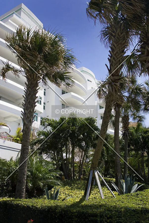 Northwest corner through some of the palms