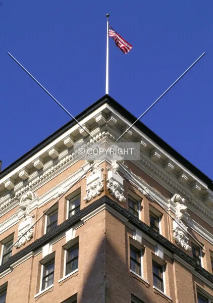 Photo 554-655-353