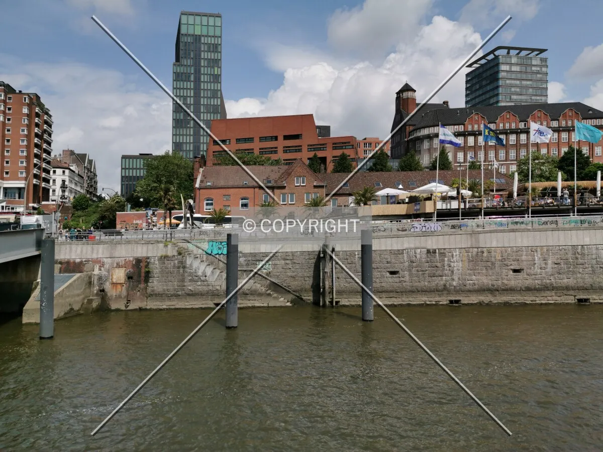 Photo 554-704-875