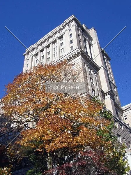 Photo 555-229-890