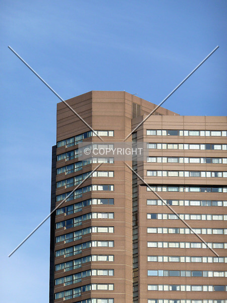 Photo 555-291-255