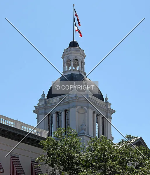 Photo 555-450-939