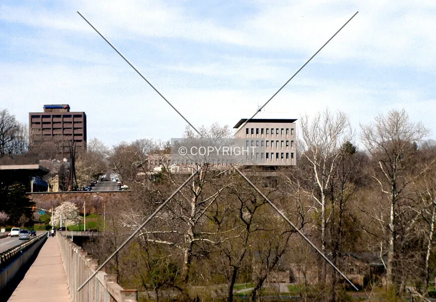 Photo 555-539-996