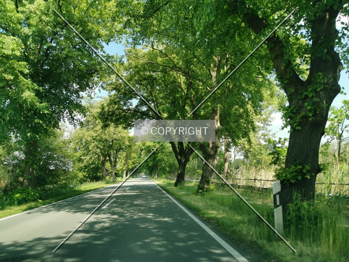 Photo 555-661-374