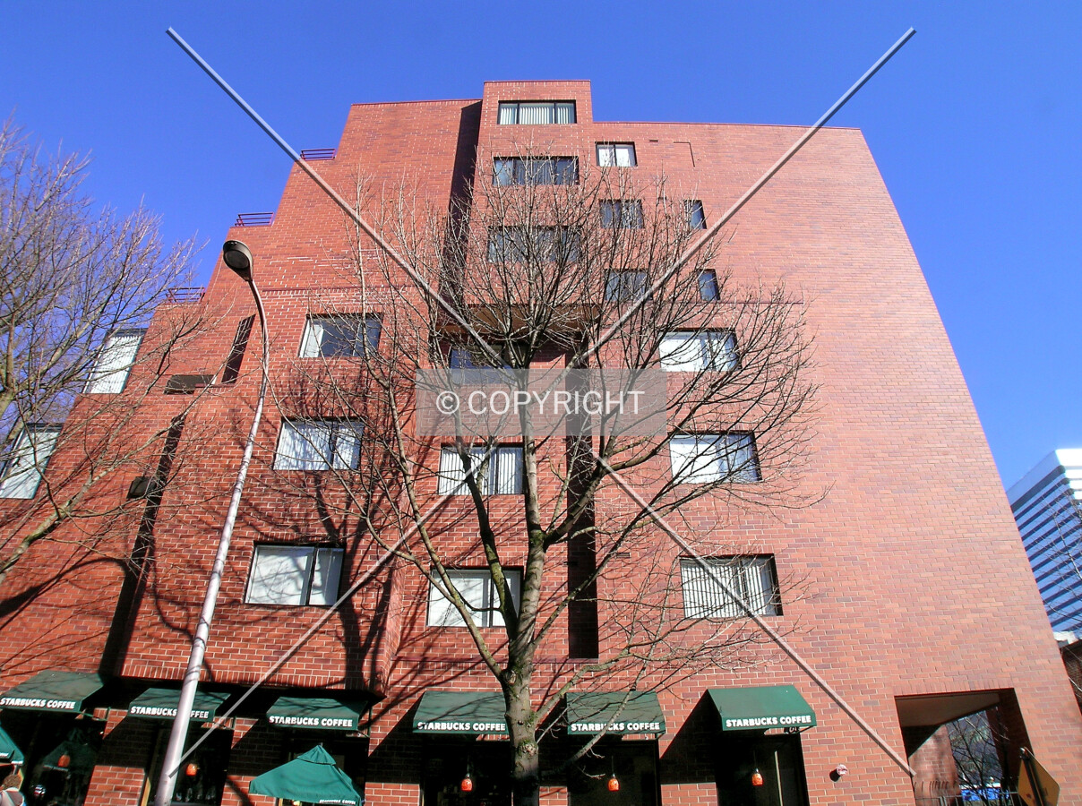 Looking up the southern facade