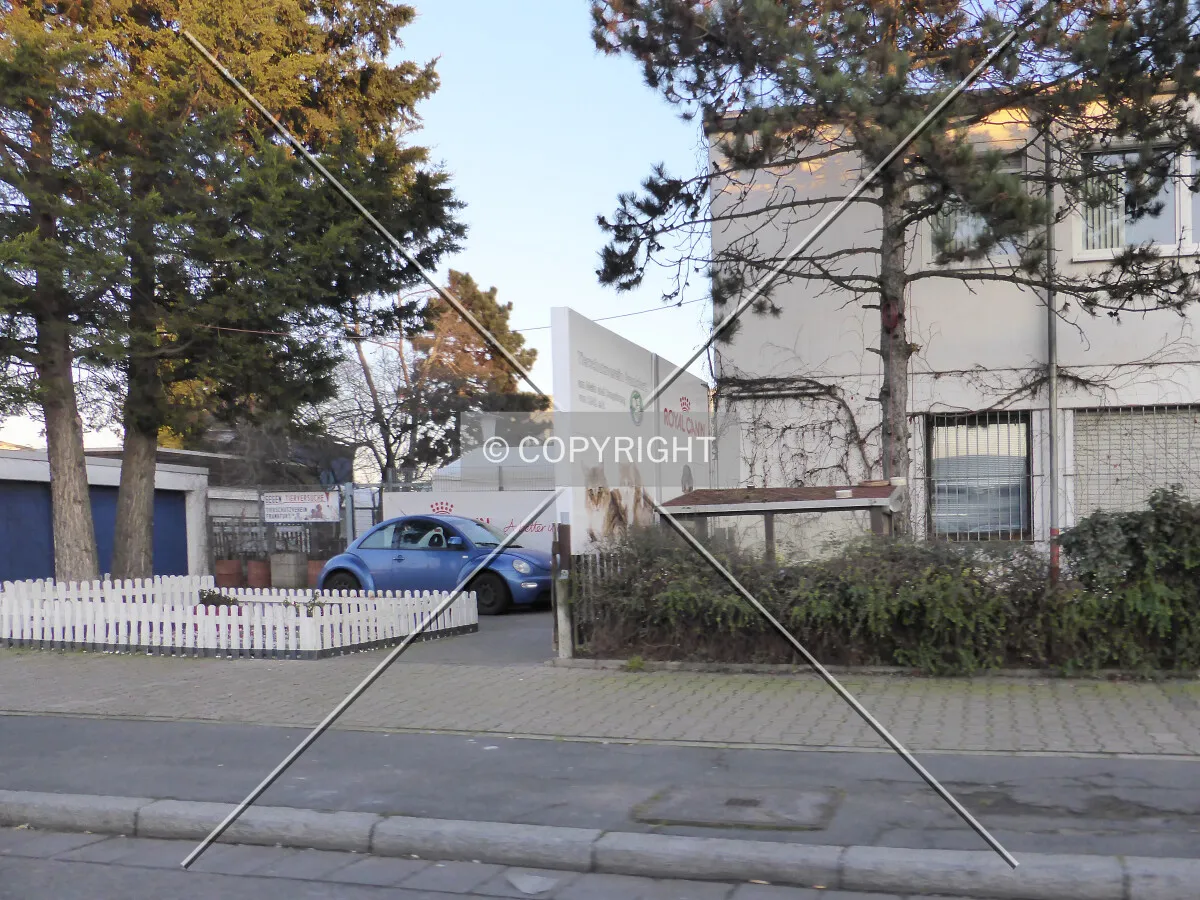 Photo 555-909-683