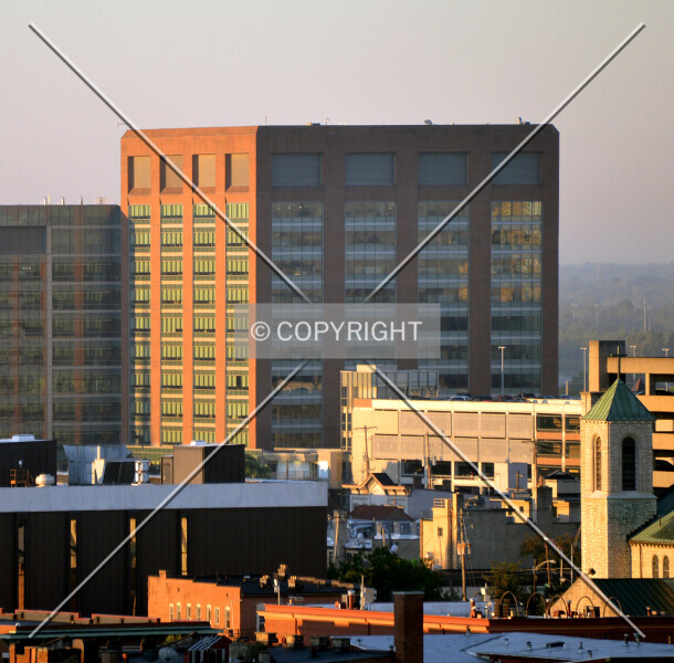 Photo 555-981-165