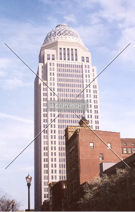 View from the west