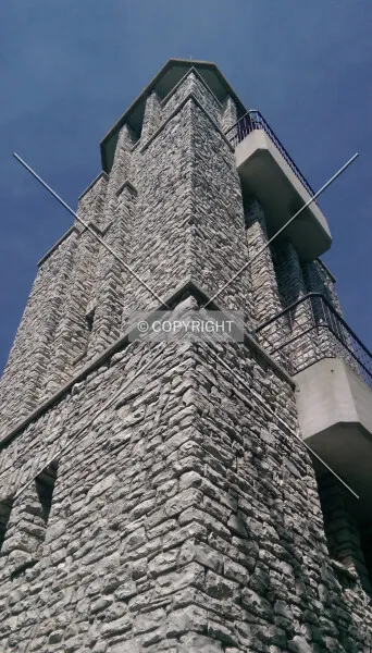 Photo 556-148-981