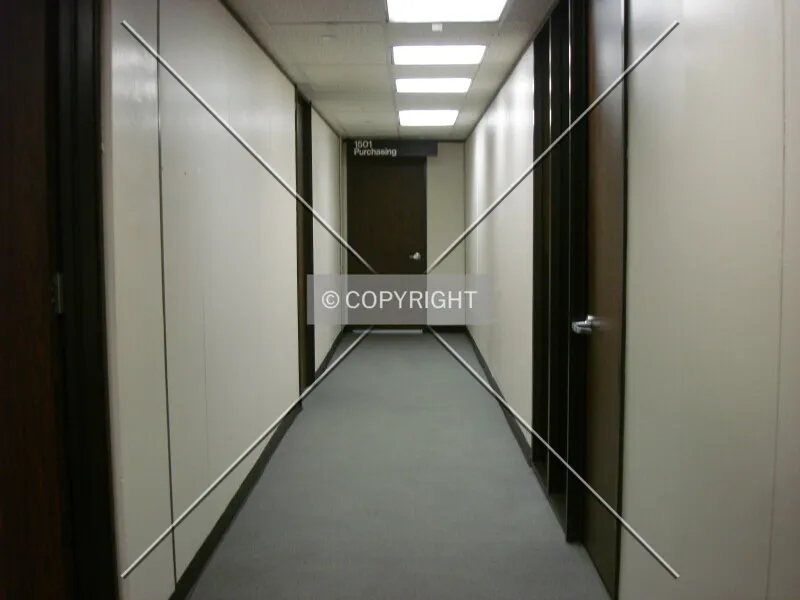 Photo 556-257-933