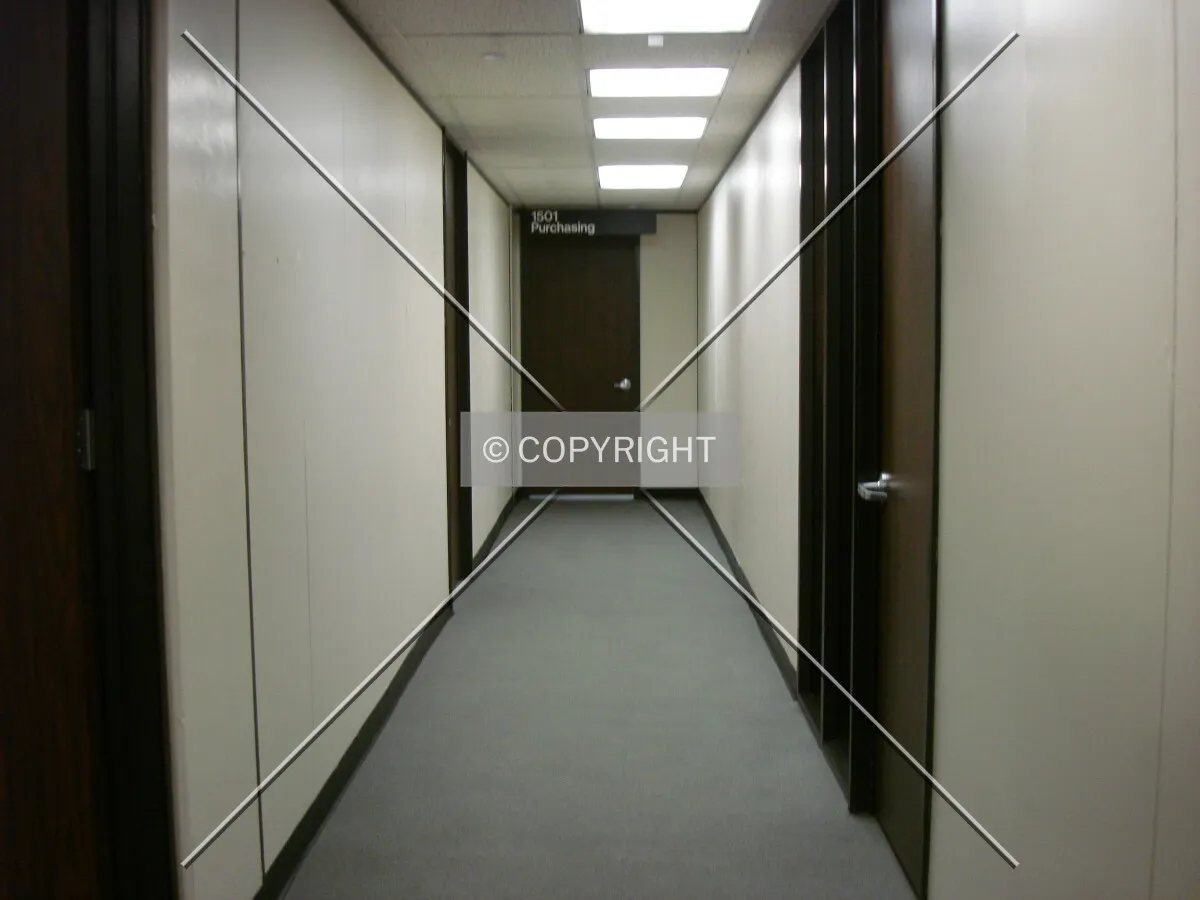 Photo 556-257-933
