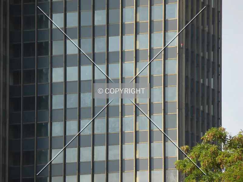 Photo 556-373-773