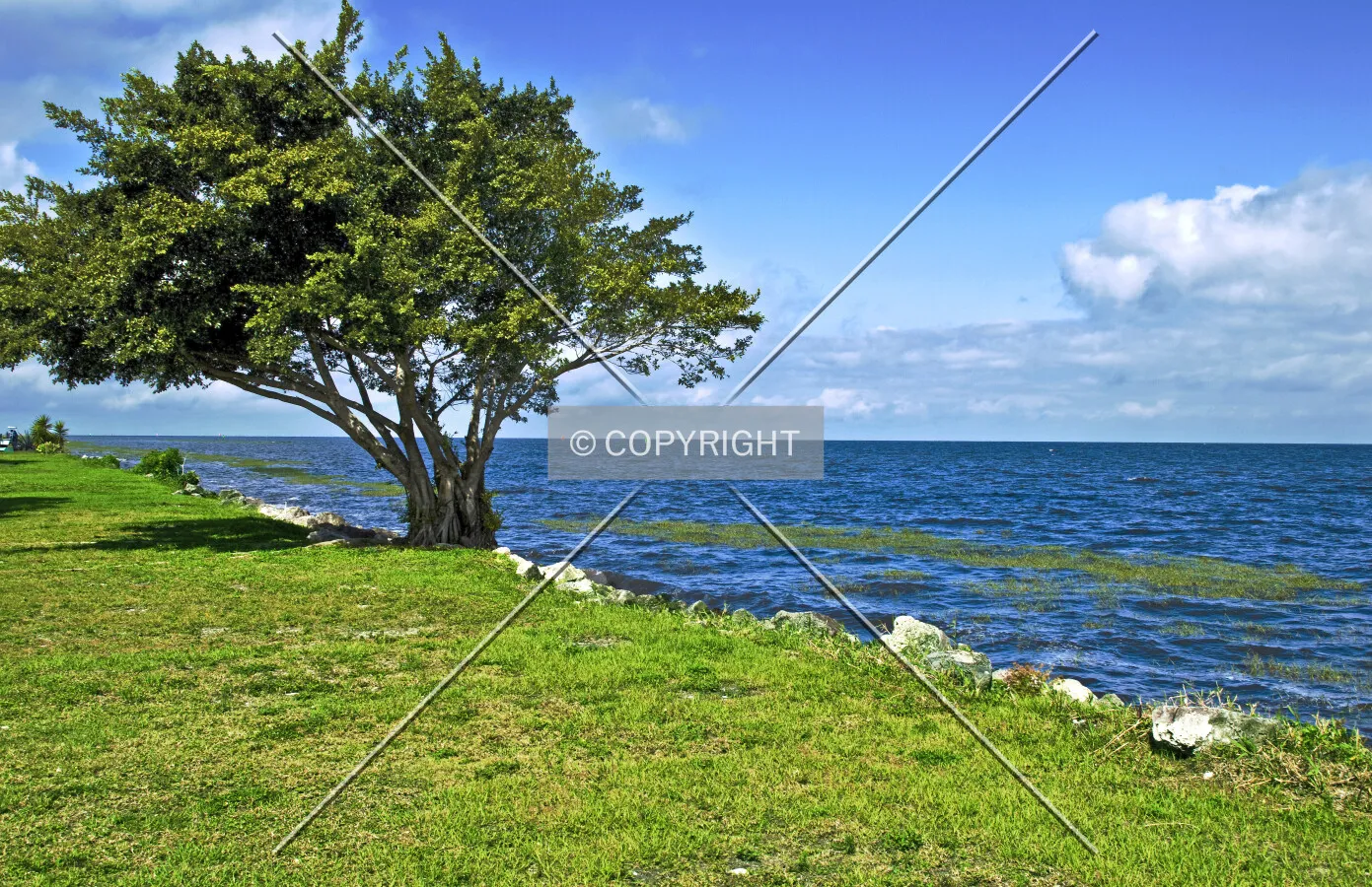 Lake Okeechobee, Florida, U.S.A.