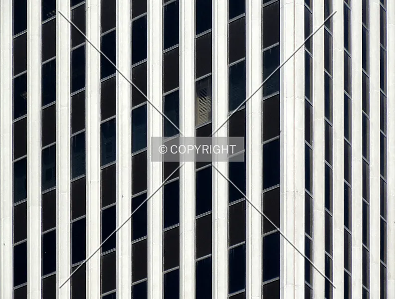 Photo 556-573-527