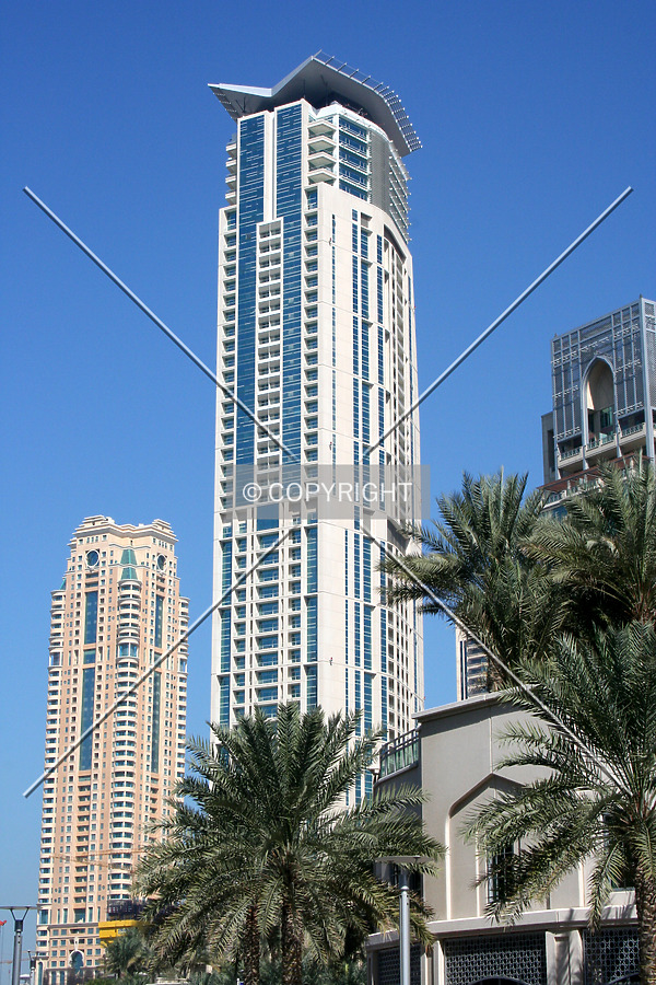 Looking up from the marina