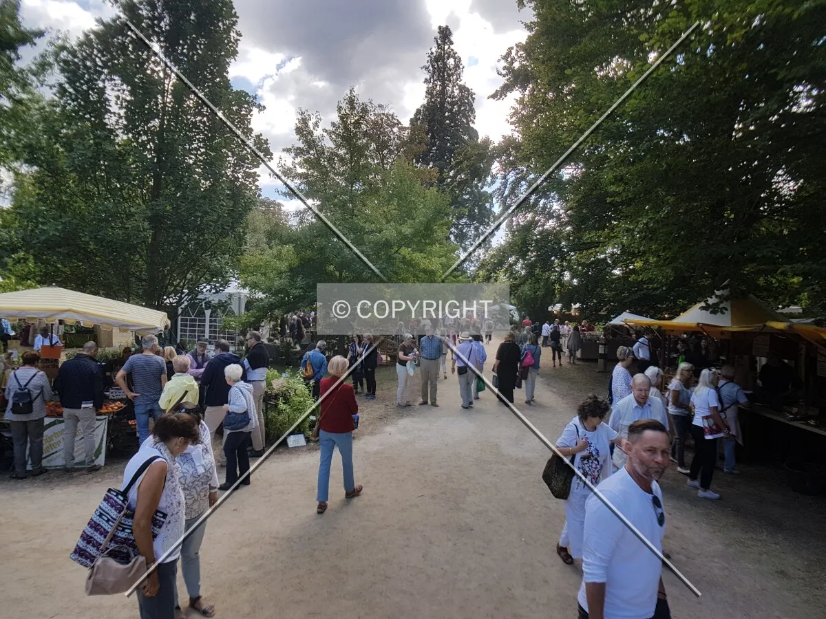 Schloß Wolfsgarten in 2018