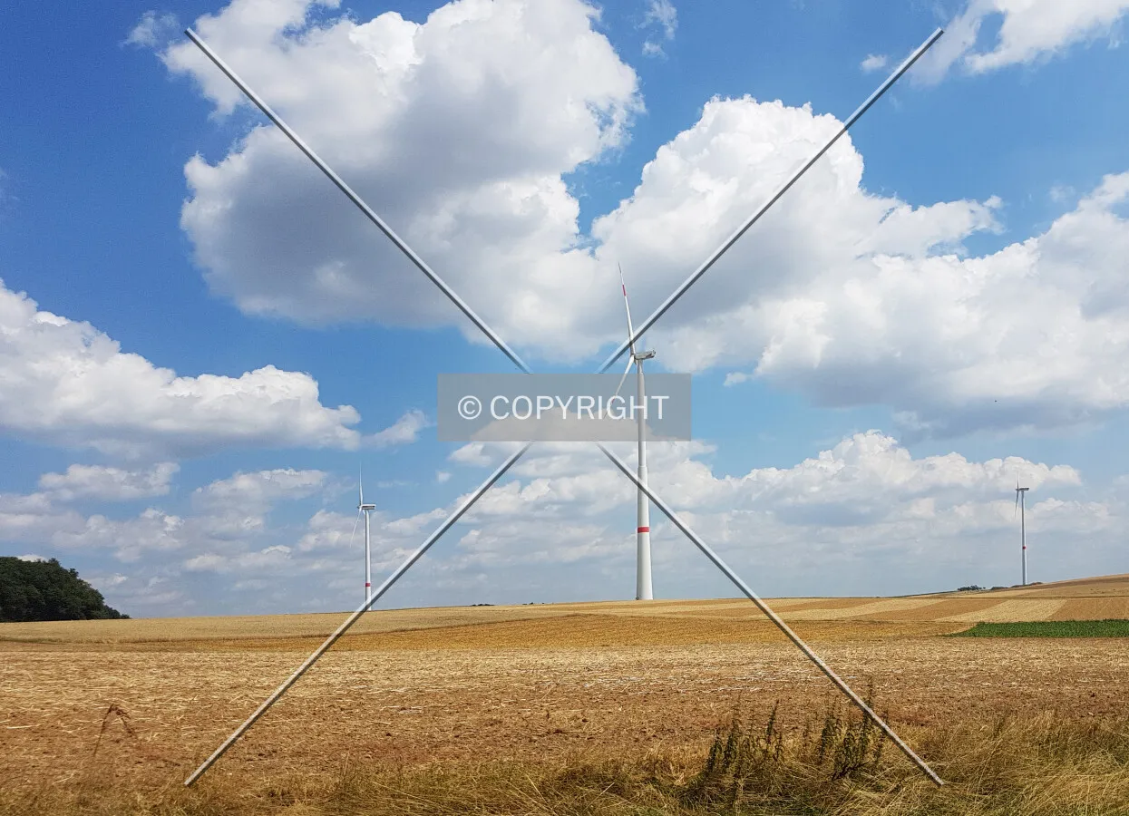Photo 055-768-879