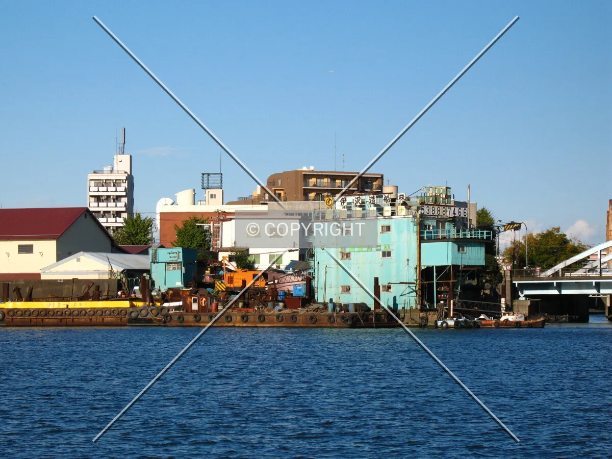 Photo 557-691-627