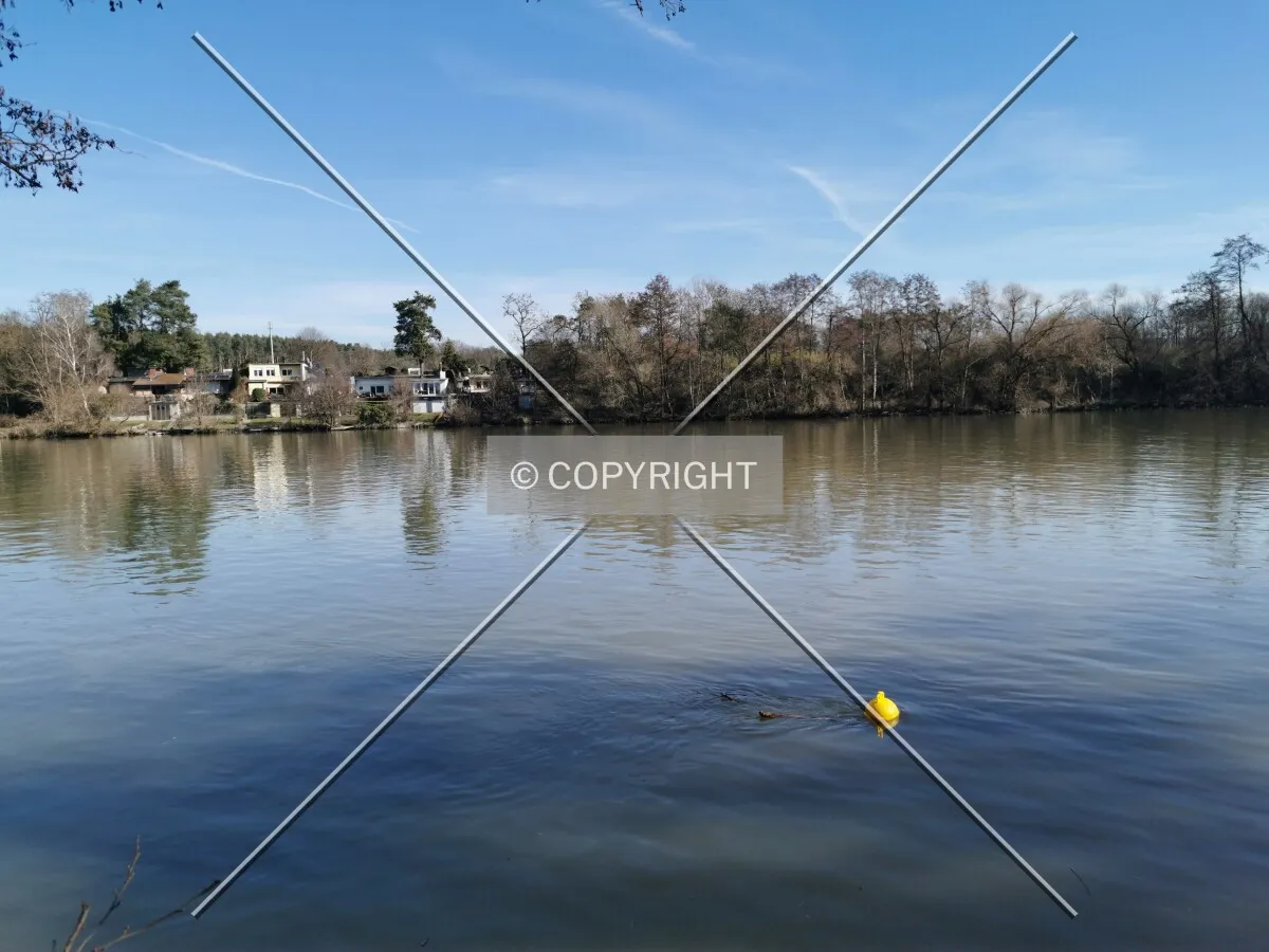 Photo 558-362-317
