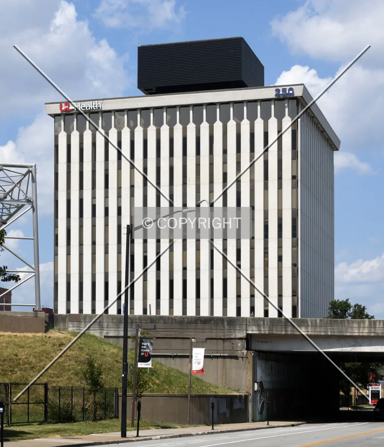 View from the south