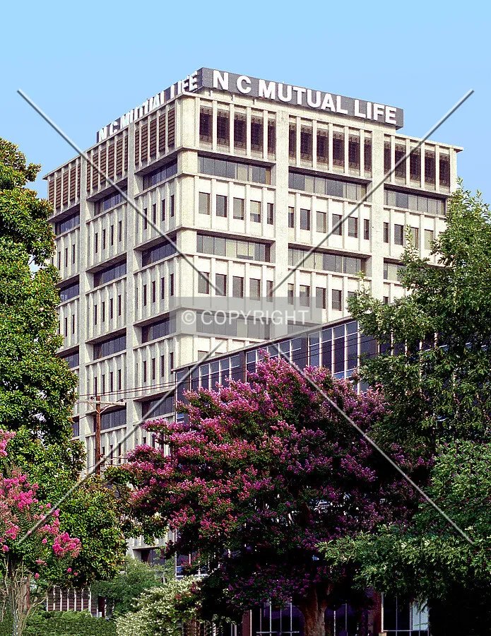 View from the northwest