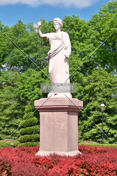 Photo 558-633-344