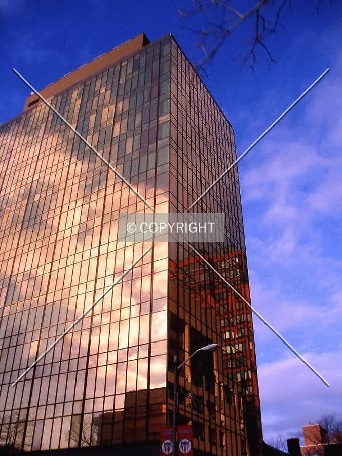 Photo 558-793-001