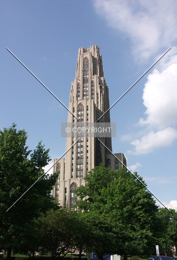 View from the southwest