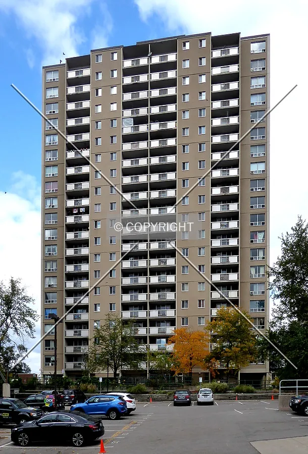 From the south