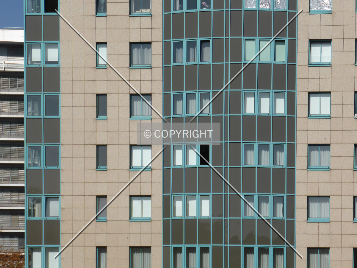 Photo 558-902-536