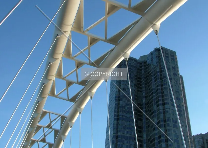 Photo 558-905-707