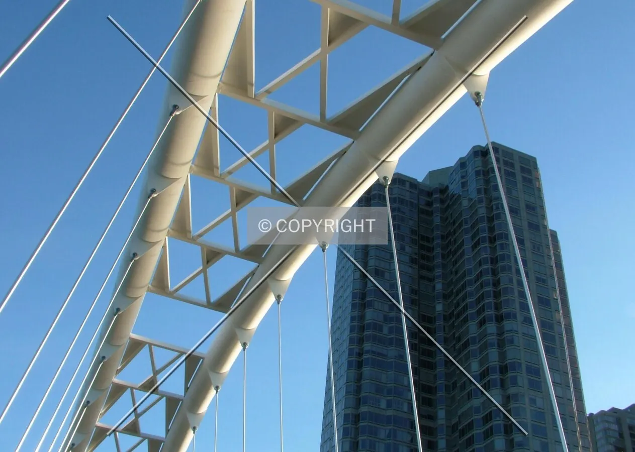 Photo 558-905-707