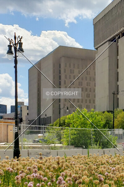 Photo 559-143-767