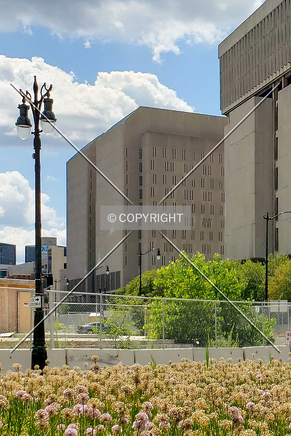 Northeast view; August 10, 2019